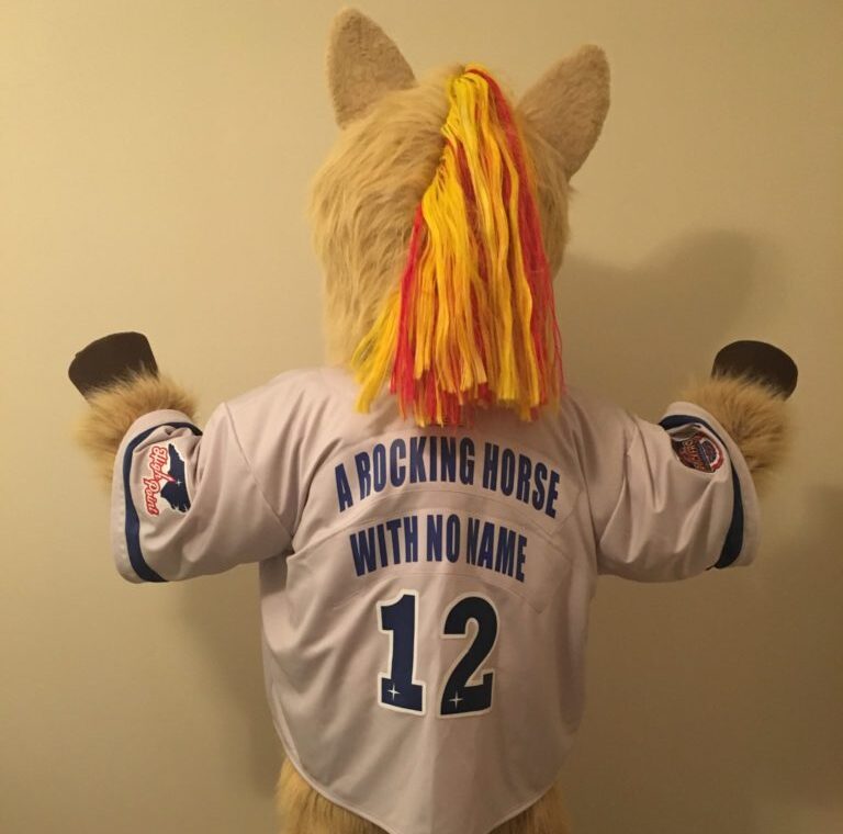 The High Point Rockers mascot reveal