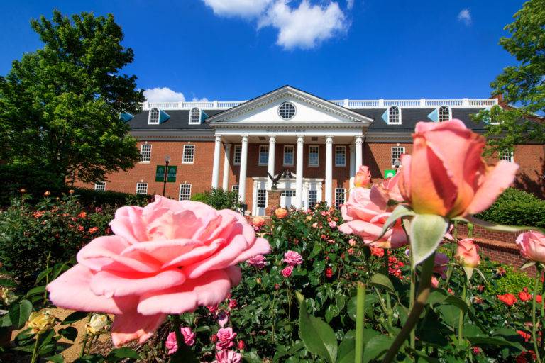 Smith Library behind flowers at High Point University