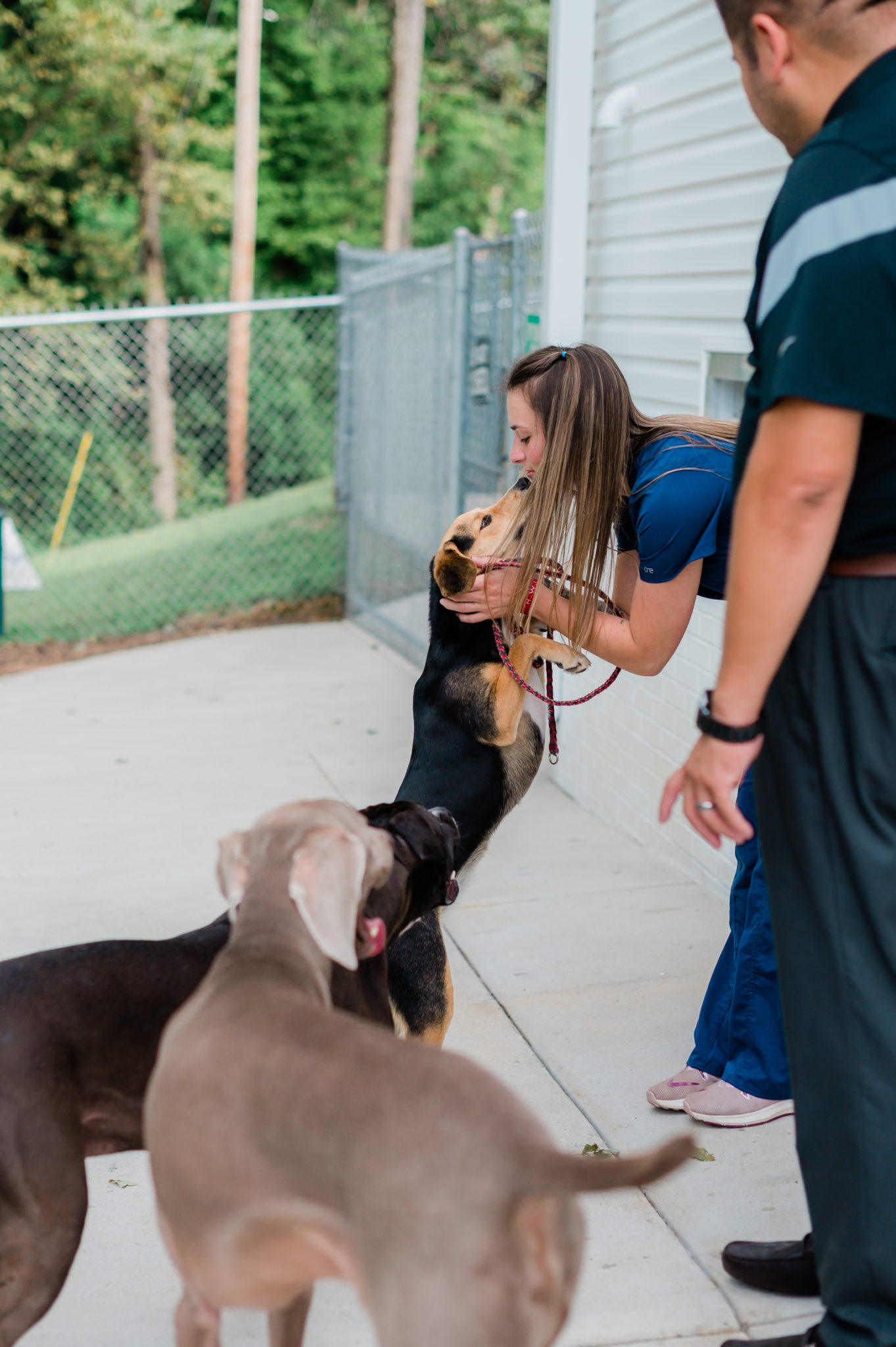 A vet staff members leans down to kiss a dog at the Northwood Animal Hospital.