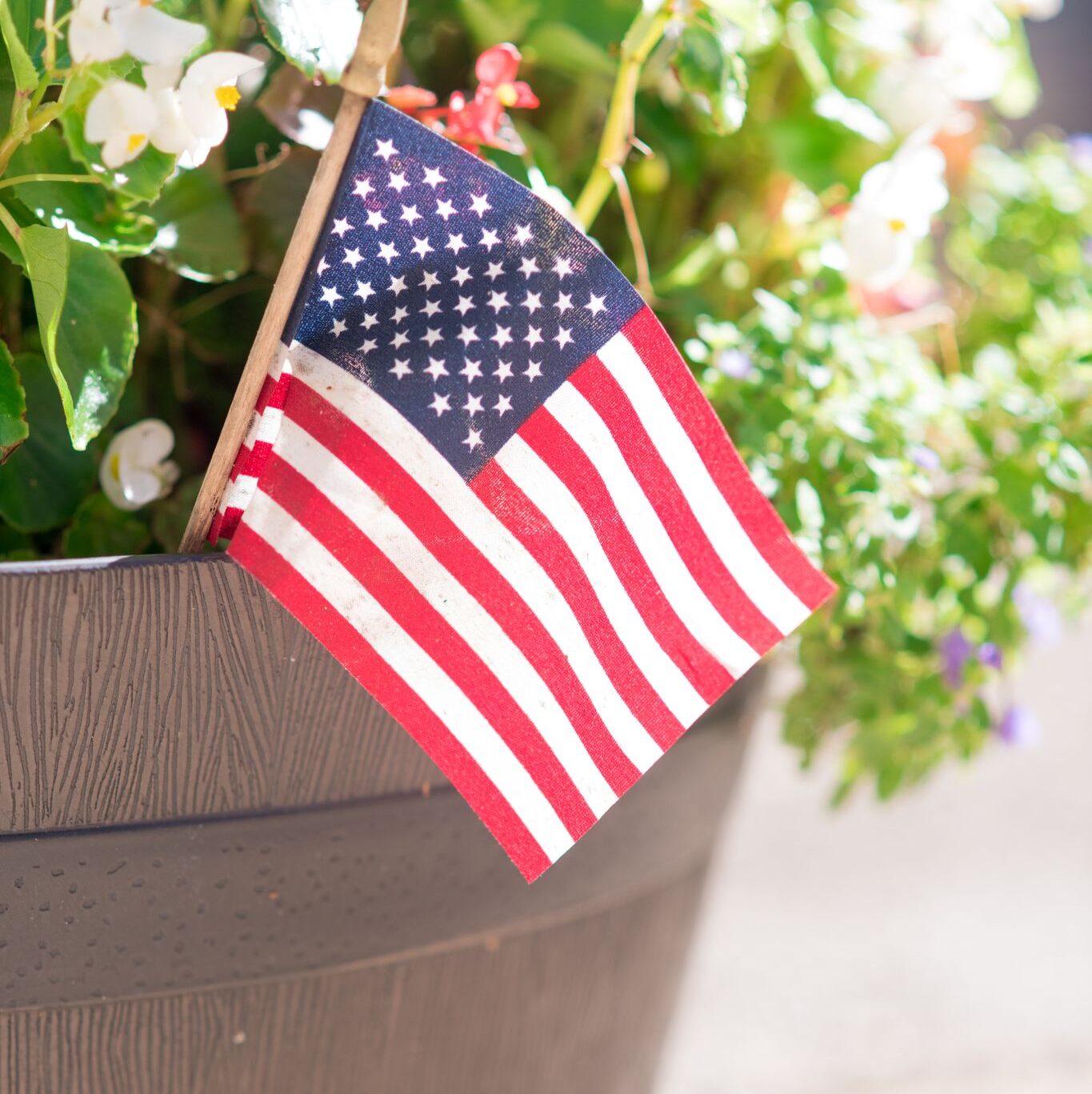 An American flag in a potted plant.