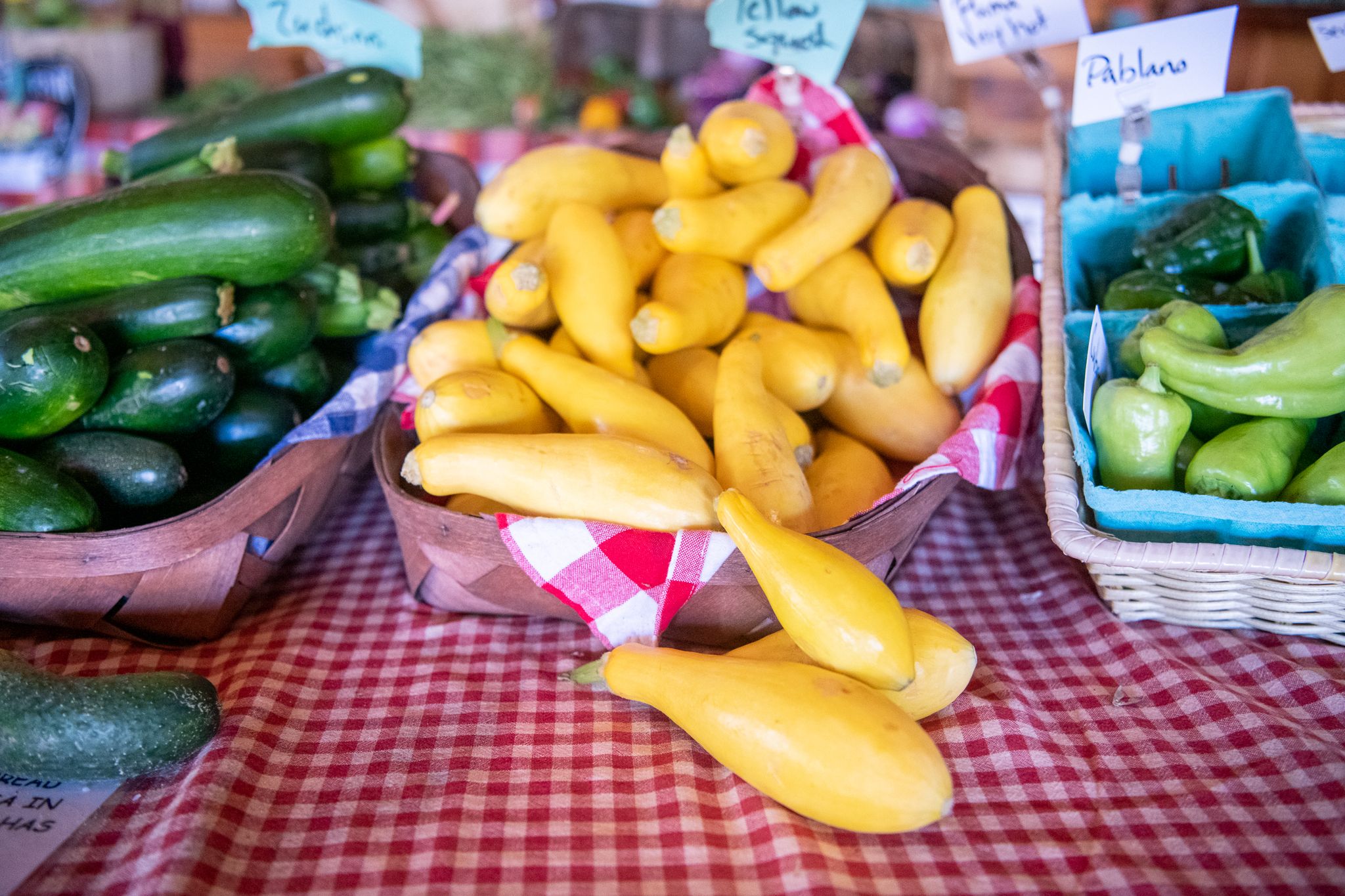 Fresh squash and produce at the Ingram's Family Farm table.