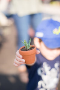 A child holding a succulent from Friendship Plant Co. in High Point, NC